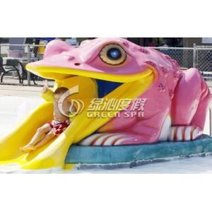 Colorful Small Frog Water Slide / Kids' Water Slides Safety for Aqua Park Playground Equipment
