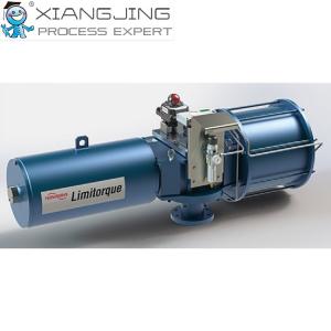 Limitorque LPS Pressure Reducing Valve Heavy Duty Pneumatic Scotch Yoke Actuator