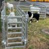 China Easily Assembled Eco Friendly Sheep Panel Fence wholesale
