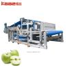China 0.5-20T/H Industrial Concentrated Juice Processing Line Baobab Juice Processing Machine wholesale
