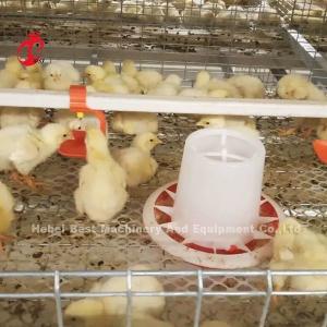 A Type Broiler Chicken Cage And Farm Poultry House Building Design Mia