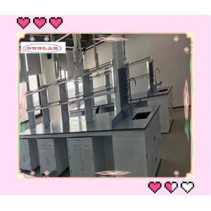 China Full Steel Chemistry Lab Benches with Full Steel Construction and Ceramic Sink supplier