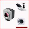 1.3MP USB Digital Microscope Camera, Eyepiece Camera