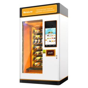 Commercial Ice Vending Machine for vegetables Multifunction Single Cabinet