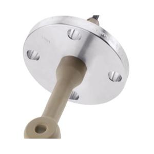 E+H CLS50D-AA1B71 CLS50D-AA1B71 Inductive conductivity meter sensor