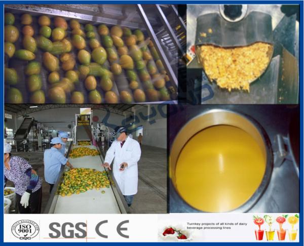 Mango Pulp Processing Machinery Mango Processing Line With Aseptic Package