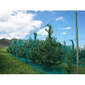 Warp Knitted Covering Fruit Tree Insect Screen Mesh Bag Protection Netting