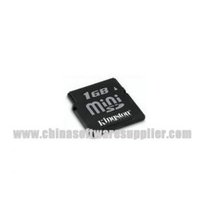 China Compact Flash Memory Cards for KINGSTON MINI SD supplier