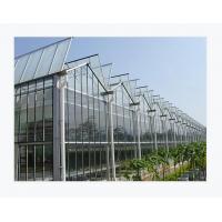 China Effortless Farming With Our Glass Covered Greenhouse Easy Installation Guaranteed on sale