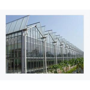 Rectangular Transparent Glass Greenhouse High Durability Wind-Resistant Low Maintenance
