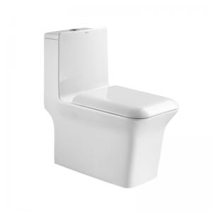 Dual Flush Elongated One Piece Commode Seat Included