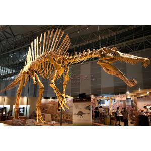China Huge Complete Dinosaur Fossil Model For Shopping Mall / Open Air Museum supplier