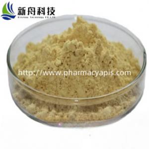 Organic Synthetic Compound Clenbuterol EP Impurity E Raw Material  CAS-37148-47-3