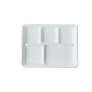 5 Compartment Biodegradable Serving Trays