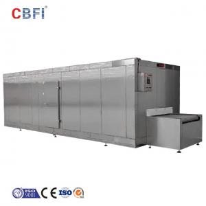 China Factory Customized Quick IQF Blast Tunnel Freezer Food Processing Equipment Made In China supplier