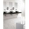 Glazed Polished Indoor Porcelain Tiles / Bathroom Wall Tiles Wear - Resistant