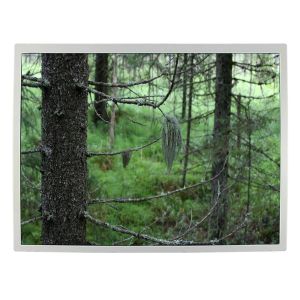 China 12,1 дисплей экрана LQ121S1LG79 промышленный LCD TFT дюйма 82ppi lcd supplier