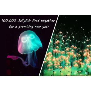 China New Year Toy Firework Jellyfish Consumer Novelty Fireworks Skyshots Pyrotechnic supplier