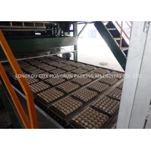 China máquina automática de la bandeja del huevo 220V con multi - acode una capacidad más seca 5000pcs/H supplier