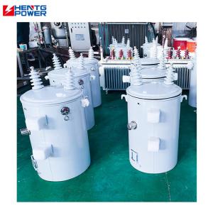 China Variable Voltage Single Phase Pole Mounted Transformer Oil Immersed Mv Hv Transformer wholesale