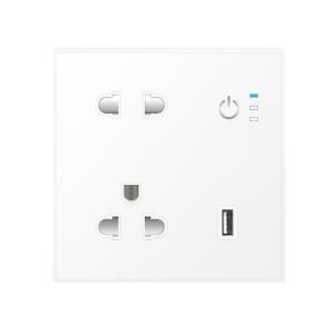 China Smart Home Products Support Speaker Connection Usb Interface Smart Wifi Power Electric Plug And Socket supplier