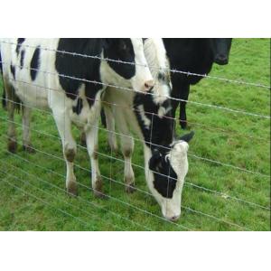 China Galvanized Livestock Prevent Hinge Joint Page Wire Farm Field Fence supplier