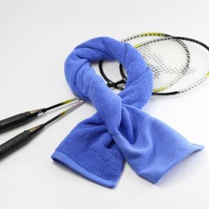 Antibacterial Microfiber Sports Towel Customized Gym-Ready Sweat Towels