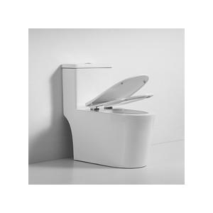 Ceramic Siphonic Flushing Toilet One Piece Sanitary Ware Bathroom Toilet