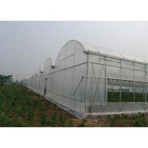 China Larger Insect Mesh Netting Agricultural Covering Material 100-150m/ Roll supplier
