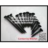 China Tornillo de Grey Phosphate Fine Thread Drywall con el pequeño embalaje de las cajas de color wholesale
