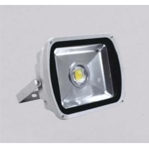 60W led outdoor lights IP65 supplier
