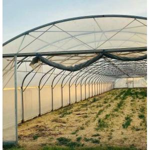 Sunlight Greenhouse for Capsicum Planting Advanced Vegetables Cultivation Method