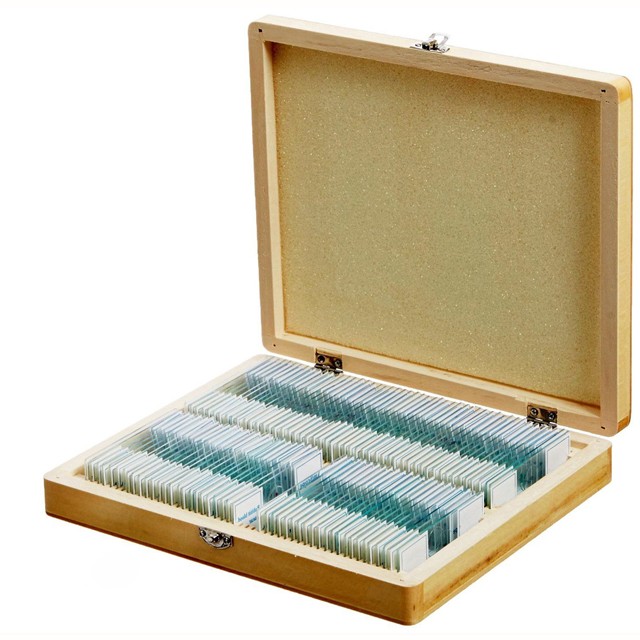 Mixed 100 Kinds Fitted Wooden Box Prepared Slides For Biology