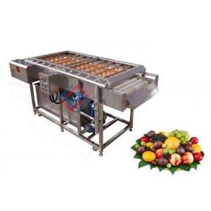 China Stainless Steel Automatic Fruit Brush Washing Machine / Peach Red Dates Cleaning Equipment supplier