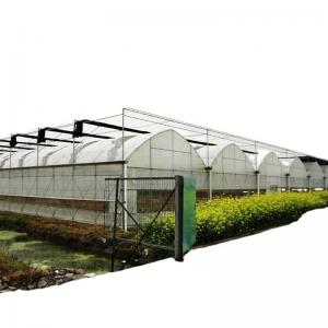 China Double or Single Layer Multi-Span Agricultural Greenhouses for Customizable Farming supplier