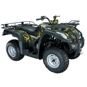 250cc ATV Battery Powered All Terrain Vehicle Hand Controlled 4x2 Off Road Snow