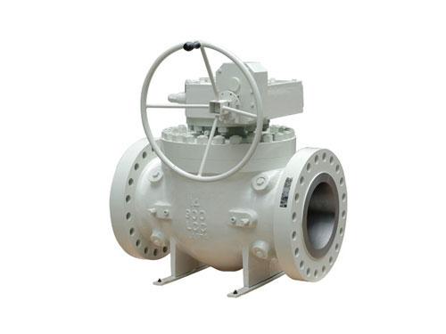Top Entry Ball Valve ( Stainless Steel and Carbon Steel)
