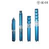 China High Performance Borewell Submersible Pump For Deep Water Supply In Agriculture wholesale