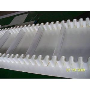 China Sidewall conveyor belt for food industry from China factory for free samples supplier