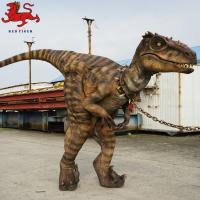 China Animatronic Velociraptor Costume , Artificial Adult Dinosaur Costume on sale