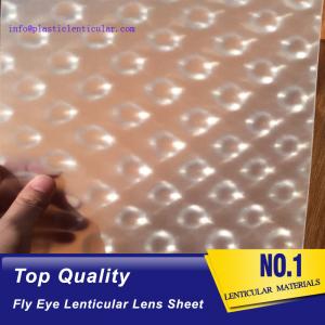 China PLASTIC LENTICULAR fly eye lenticular sheet 0.5mm small dot lens film clear PP lenticular led light diffuser plate supplier