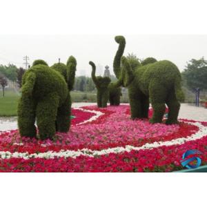 China Vertical Green Artificial Topiary Trees Grass Statue Vivid Elephant Shape supplier