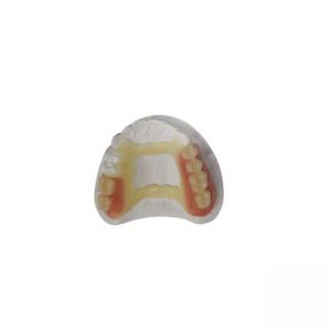 Natural Look Rubber PFM Dental Crown 3D Printer Dental Laboratory