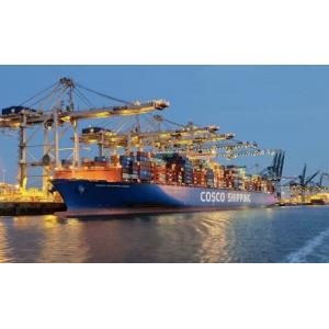 Amazon Sea Freight for USA Fast Delivery with 20GP/40GP/40RH/40HQ/45HQ Container Size