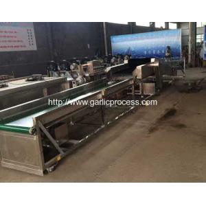 China Garlic Dry Cleaning Machine supplier