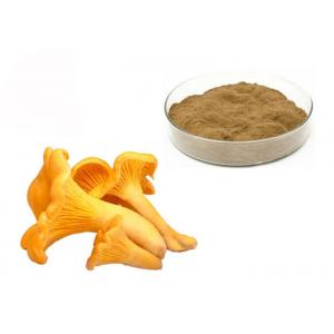 30% Polysaccharides Chantarelle Mushroom Extract Powder