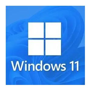 Globally Mak Windows 11 Pro License Key Online Activation Product Code