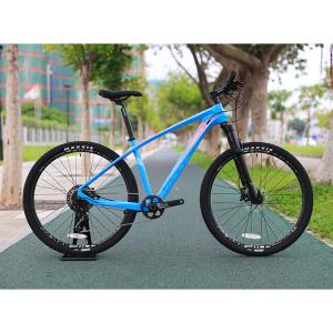China 29 Inch MTB Carbon Fibre Mountain Bike with YBN S12S Chain and 160mm Brake Disc Pads supplier