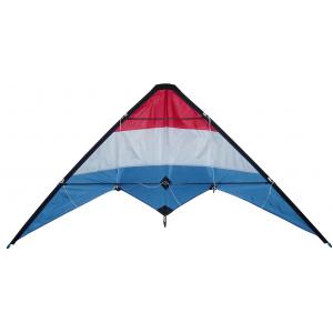 China Stackable colorized fabric Delta stunt kite, adults delta kite for sports supplier