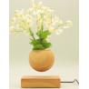 China new 360 spining wooden magnetic levitate floating air bonsai tree for decor gift wholesale